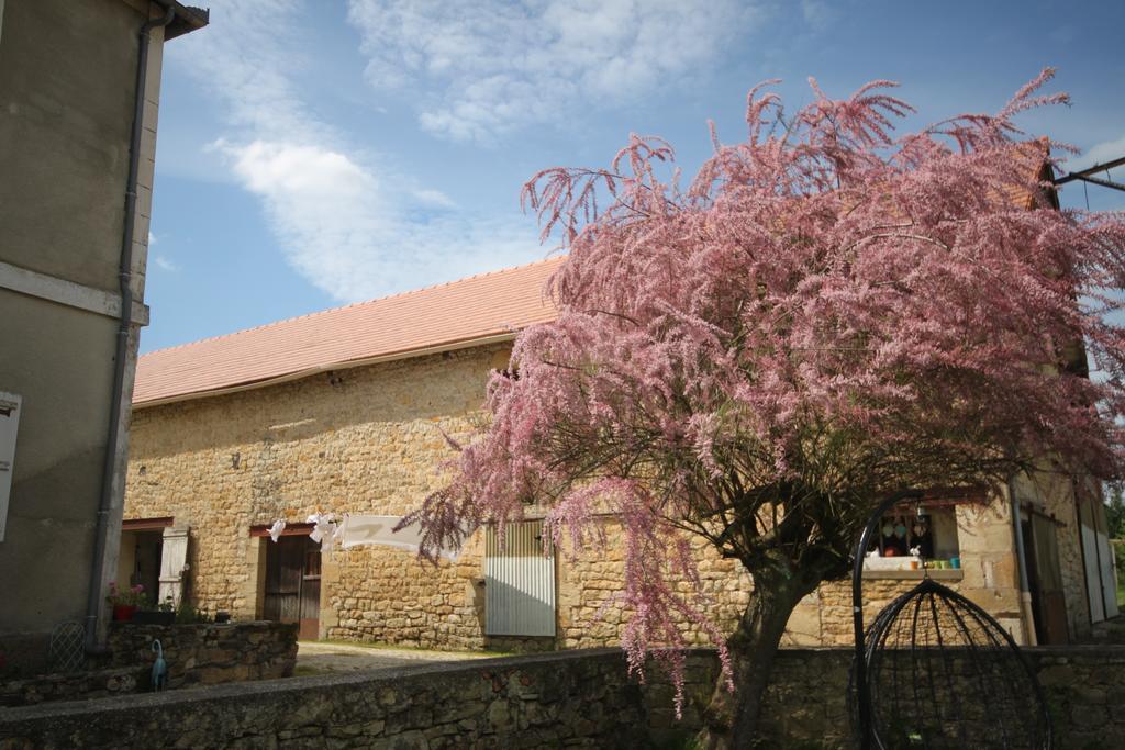 La Maison Du Bonheur Anlhiac Esterno foto