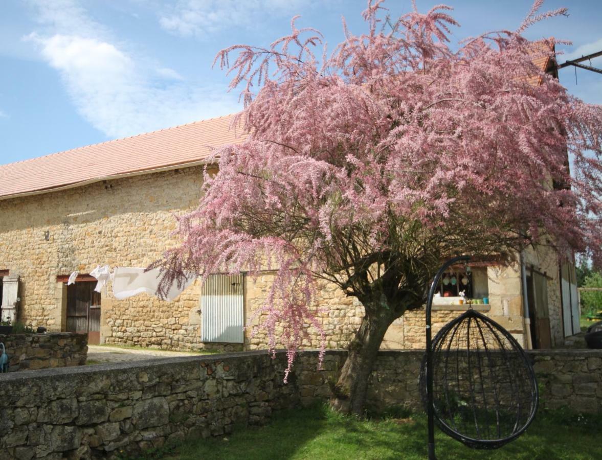 La Maison Du Bonheur Anlhiac Esterno foto